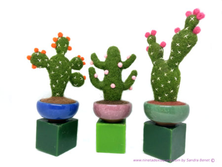 Cactus5